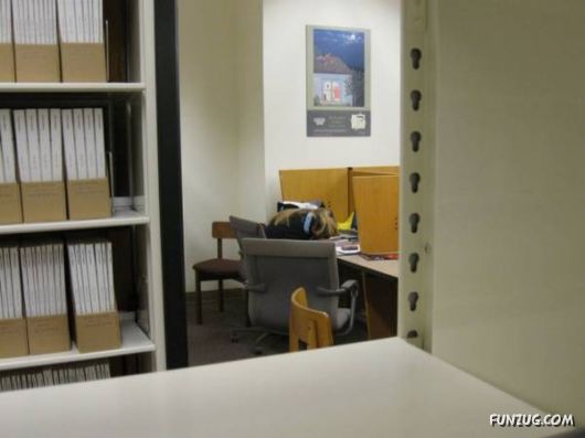 How People Sleep At Their Work Places