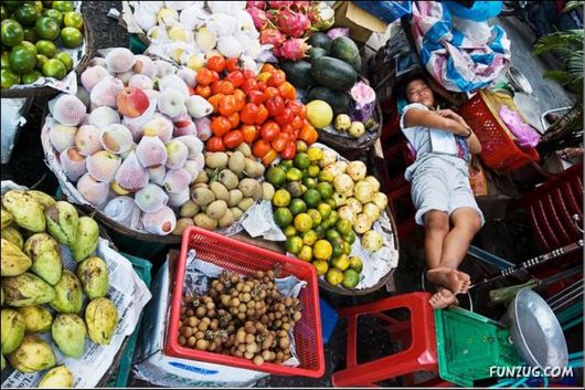 People Can Sleep Anytime, Anywhere