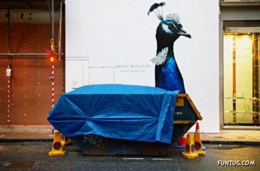 Photographs With Double Meaning