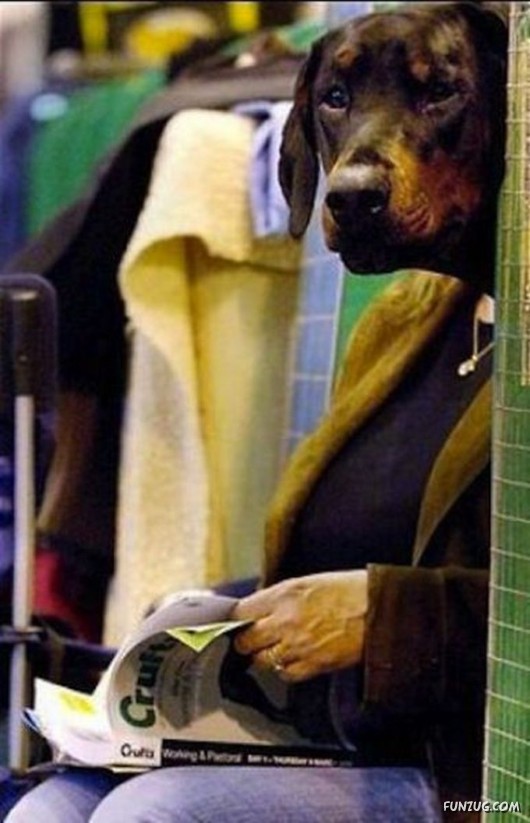 Photographs With Double Meaning