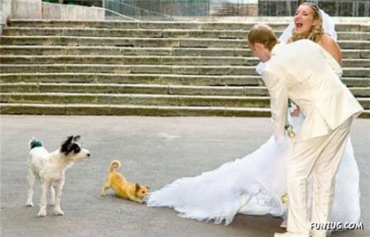 Crazy Ruined Wedding Photos