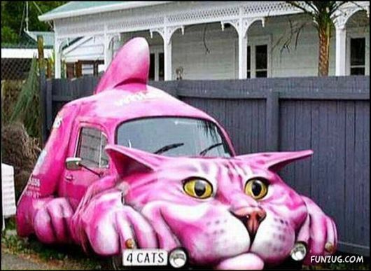 Vehicles in Funny Situations