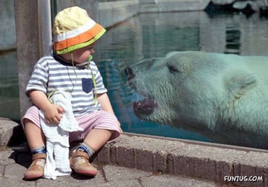 Awesome Daily Funny Pictures