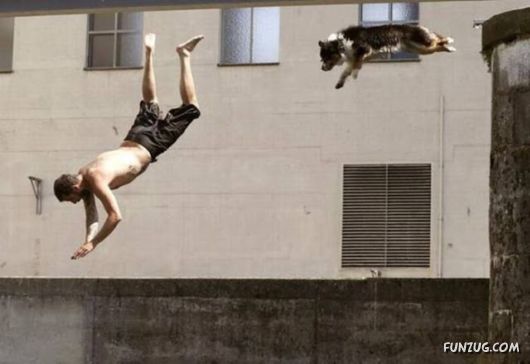 Awesome Daily Funny Pictures