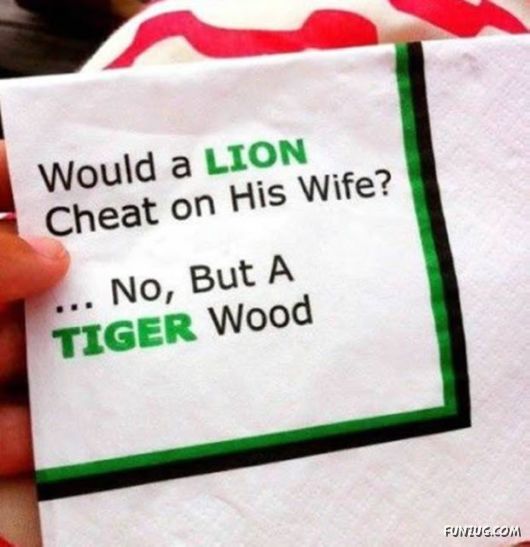 Awesome Daily Funny Pictures