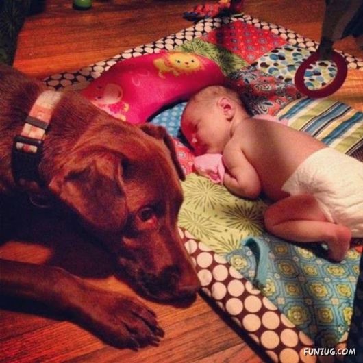 Awesome Daily Funny Pictures