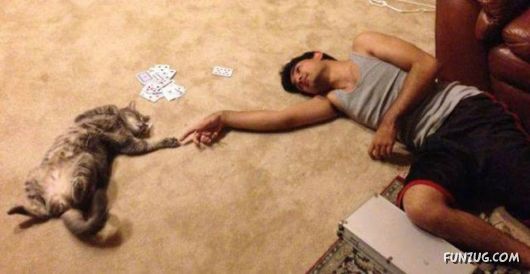 Awesome Daily Funny Pictures