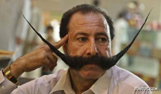 Awesome Daily Funny Pictures