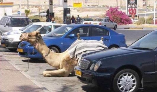 It Happens Only In Dubai