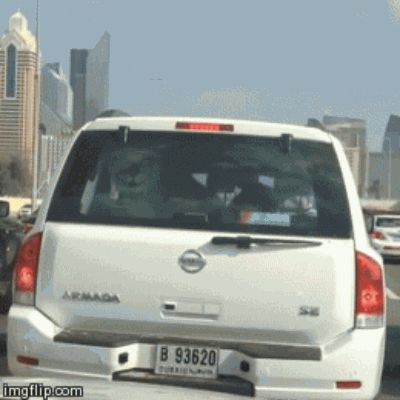 It Happens Only In Dubai