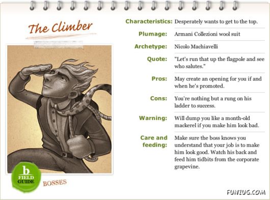 Different Types of Bosses