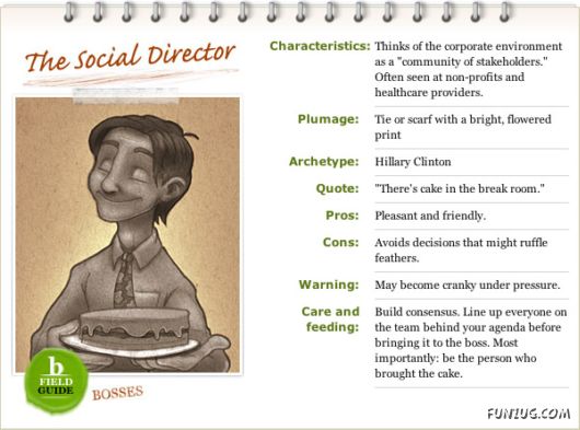 Different Types of Bosses