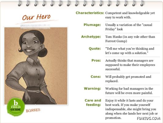 Different Types of Bosses