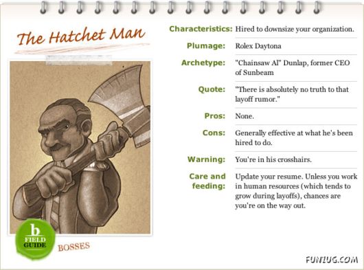 Different Types of Bosses