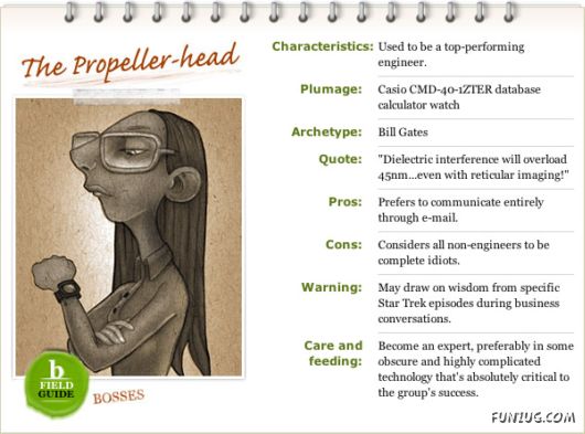 Different Types of Bosses