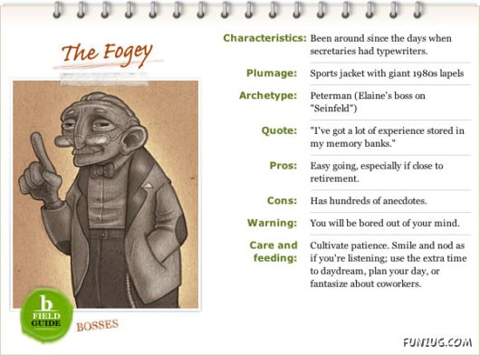 Different Types of Bosses