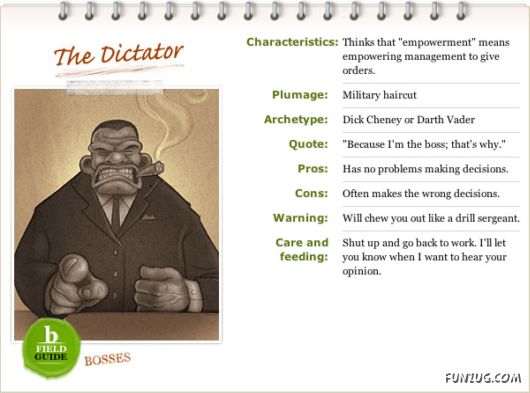 Different Types of Bosses