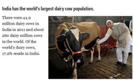 Most Amazing Facts About India