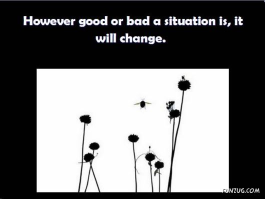 Some Beautiful And Meaningful Lines