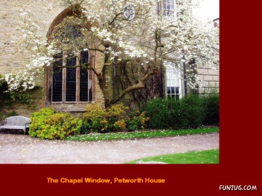 Aristocratic English Houses