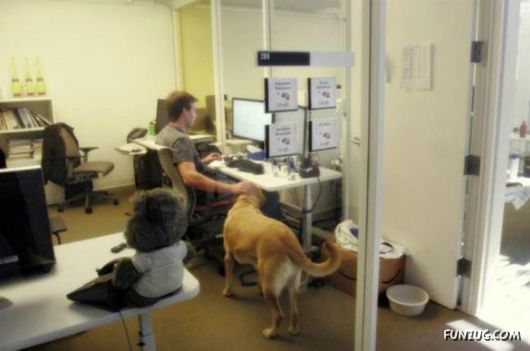 Google Headquarters in Mountain View, California