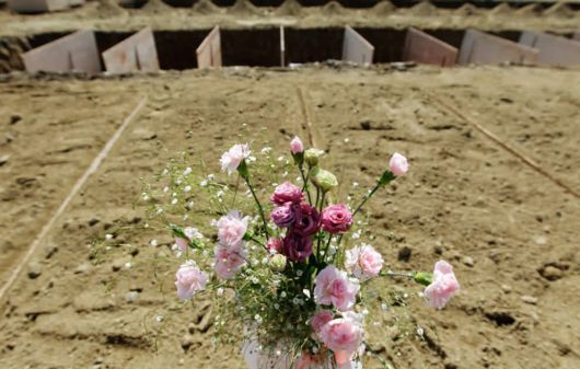 The Power Of Flowers