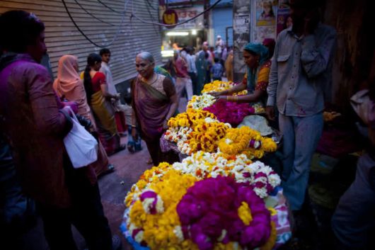 The Power Of Flowers