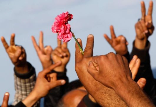 The Power Of Flowers