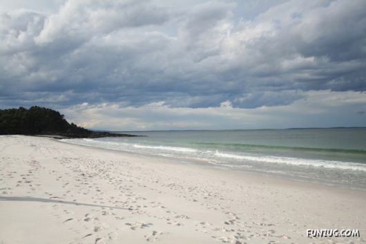 Its Amazing Fantasy nature