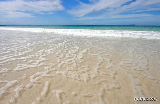 Its Amazing Fantasy nature