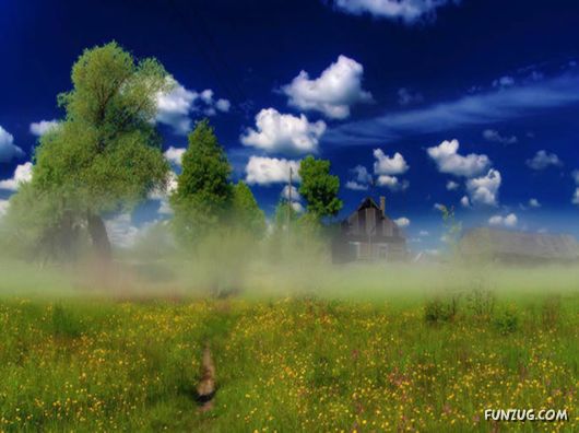 Feel The Beauty of Wonderful Morning