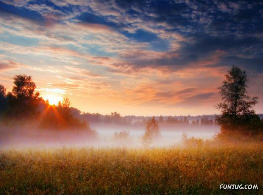 Feel The Beauty of Wonderful Morning