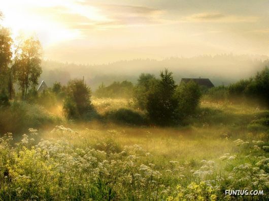 Feel The Beauty of Wonderful Morning