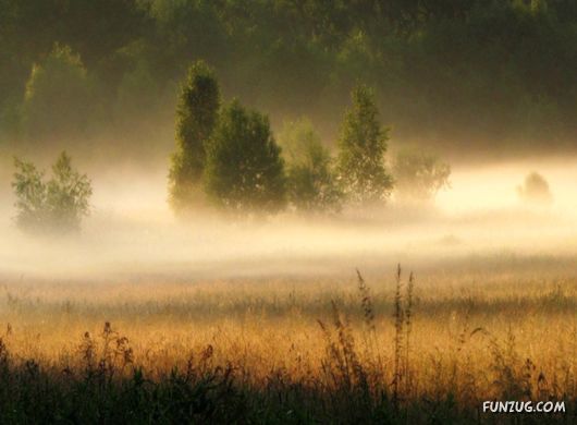 Feel The Beauty of Wonderful Morning