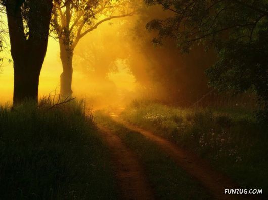 Feel The Beauty of Wonderful Morning