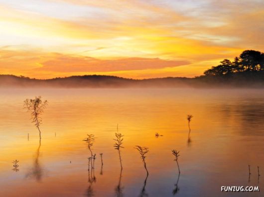 Feel The Beauty of Wonderful Morning