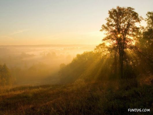 Feel The Beauty of Wonderful Morning