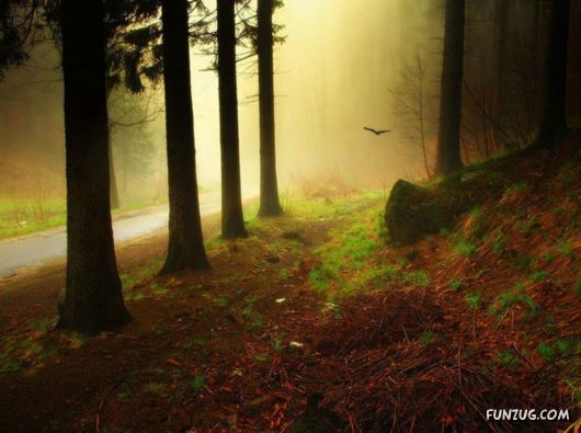 Feel The Beauty of Wonderful Morning