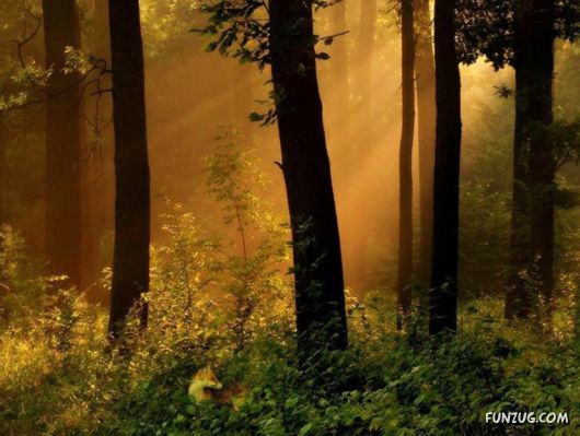 Feel The Beauty of Wonderful Morning