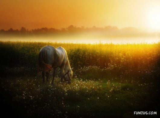 Feel The Beauty of Wonderful Morning