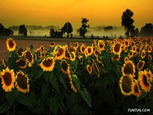 Feel The Beauty of Wonderful Morning