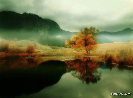 Feel The Beauty of Wonderful Morning