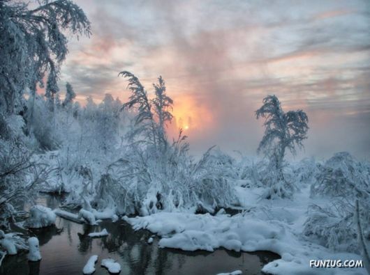 Feel The Beauty of Wonderful Morning