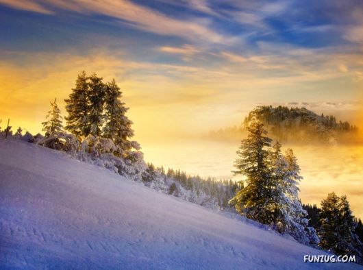 Feel The Beauty of Wonderful Morning