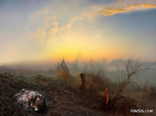 Feel The Beauty of Wonderful Morning