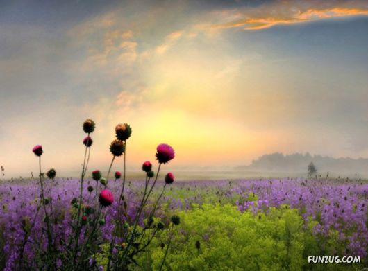 Feel The Beauty of Wonderful Morning