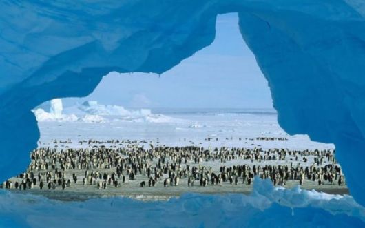 Beautiful Icebergs Around The World