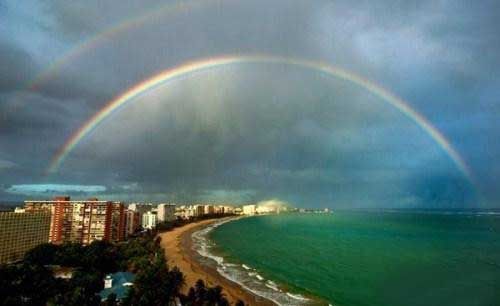 Amazing Rainbows in the Sky
