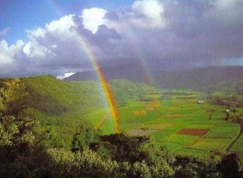 Amazing Rainbows in the Sky