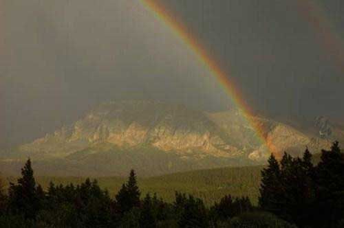 Amazing Rainbows in the Sky